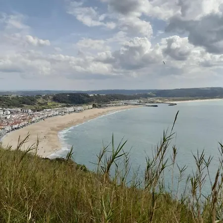 公寓 A Casinha Da Aguieira Na Lands Hause L6